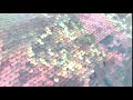 Material textil cu paiete